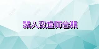 素人改造师合集