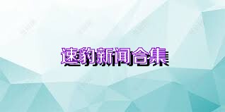 速豹新闻合集