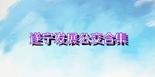 遂宁发展公交合集