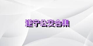 遂宁公交合集