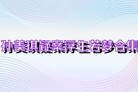 孙美琪疑案浮生若梦合集