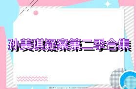 孙美琪疑案第二季合集