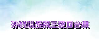 孙美琪疑案王爱国合集