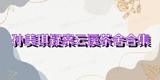 孙美琪疑案云溪茶舍合集