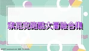 索尼克跑酷大冒险合集
