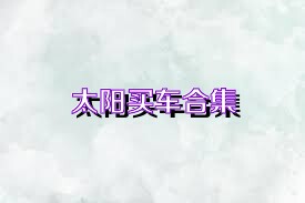 太阳买车合集