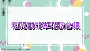 坦克前线草花版合集