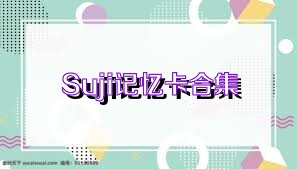Suji记忆卡合集