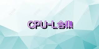 CPU-L合集