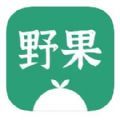 野果阅读官网版