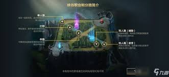 LOL下路是否只能一个人玩