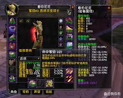 魔兽世界WLK惩戒骑装备选择指南