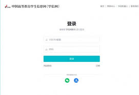 信息查询官网登录入口