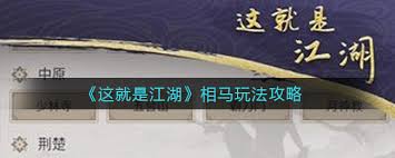 这就是江湖如何相马