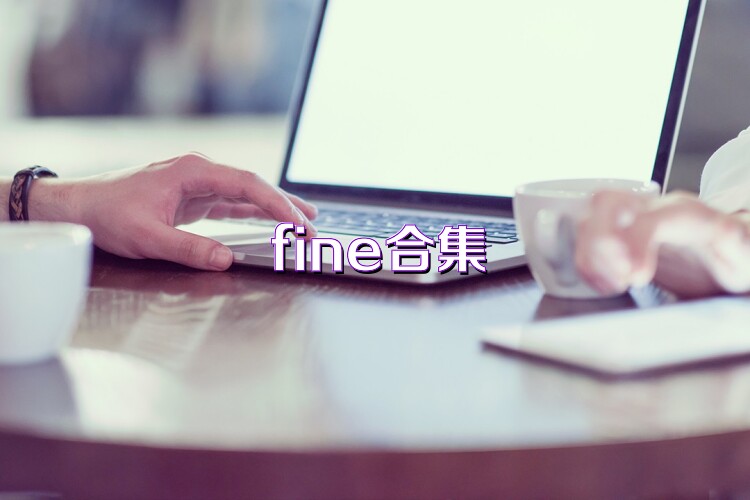 fine合集