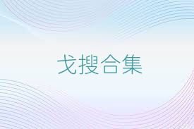戈搜合集