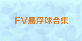 FV悬浮球合集