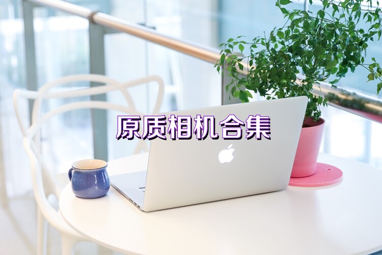 原质相机合集