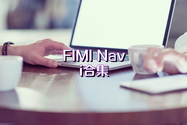 FIMI Navi合集