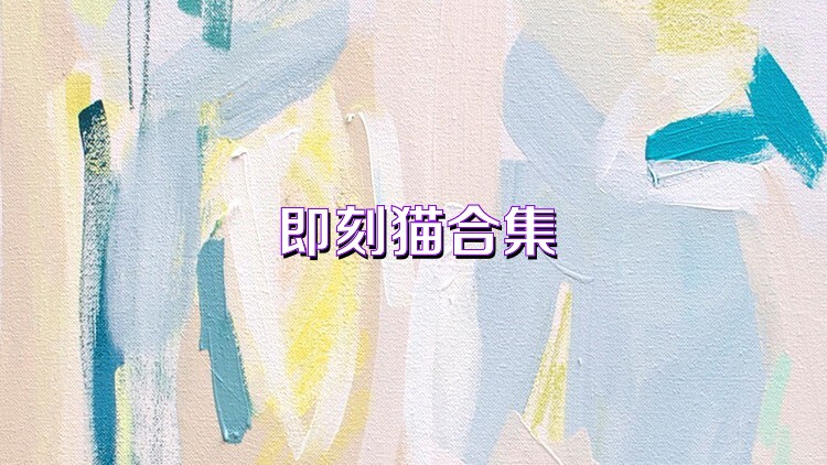 即刻猫合集