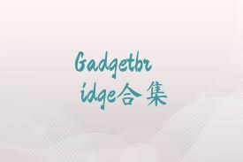 Gadgetbridge合集
