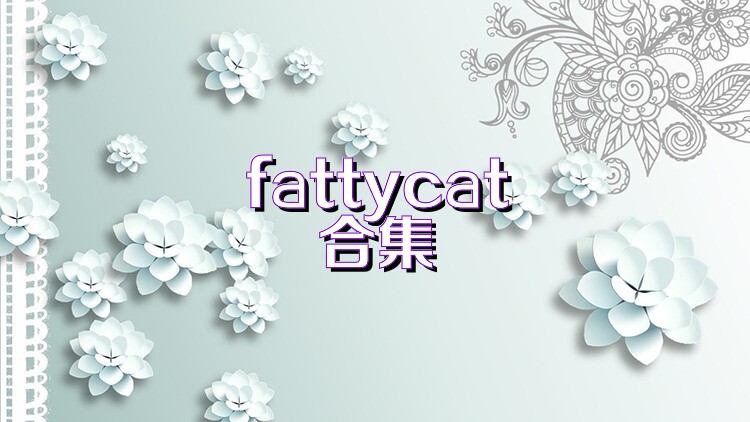 fattycat合集
