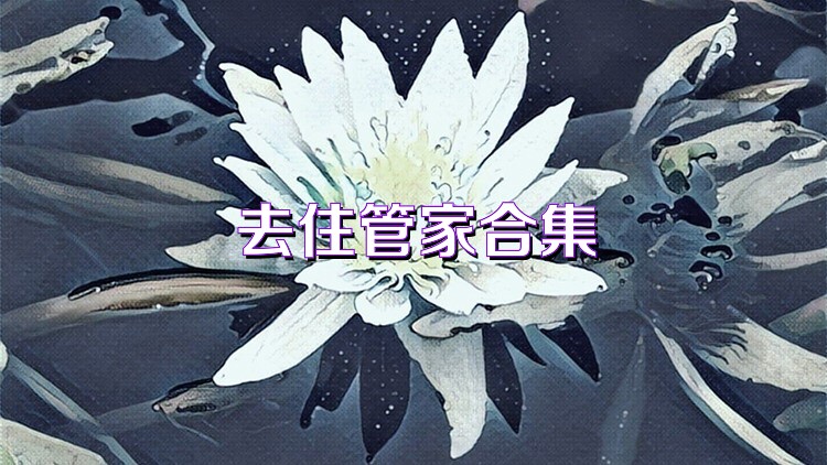去住管家合集