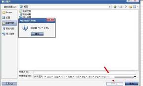 MicrosoftVisio怎么插入图片