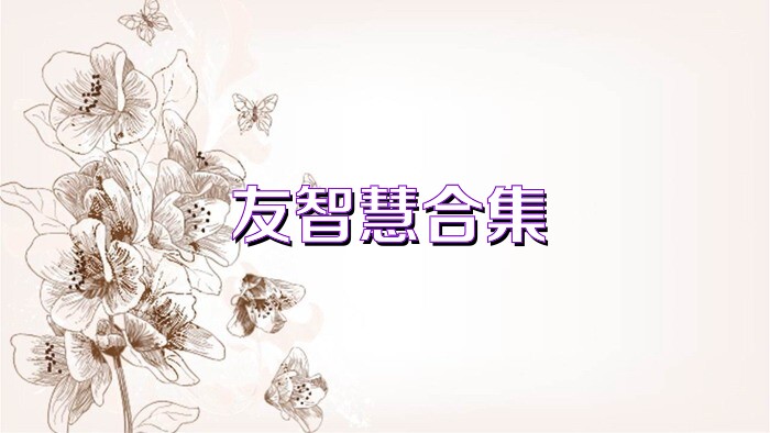 友智慧合集
