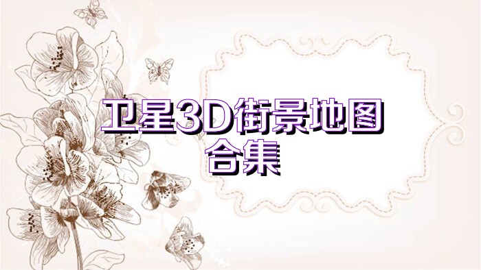卫星3D街景地图合集