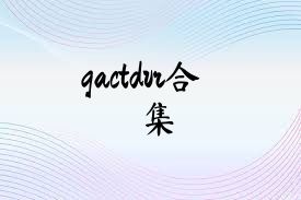 gactdvr合集
