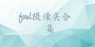 fowl摄像头合集