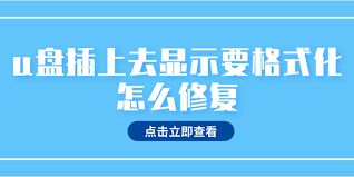u盘插入后提示格式化怎么办