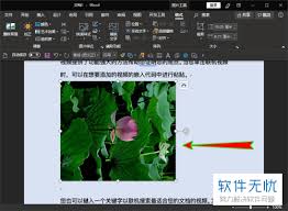 Word图片如何旋转