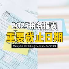 2025年个税申报截止时间是什么时候
