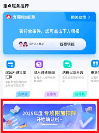 2025个税预约怎么办