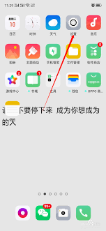 oppo手机屏幕使用时间在哪里设置