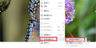 Word文字文档如何设置图片为圆角