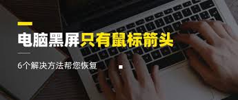 电脑黑屏只有鼠标能动怎么解决
