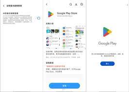 谷歌服务如何获取