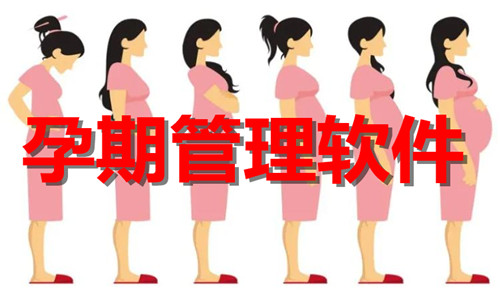 孕期管理软件大全