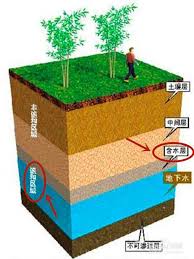 土壤有哪三层