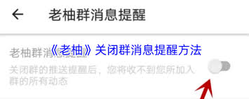 老柚如何取消关注群