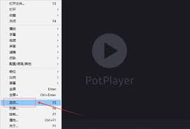 PotPlayer怎么设置仅全屏时处理