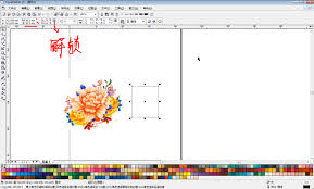 CorelDraw 2020如何调节图片尺寸