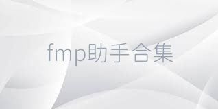 fmp助手合集