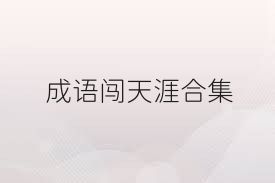 成语闯天涯合集