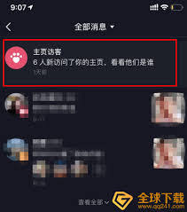 抖音主页访客记录显示的是人数吗