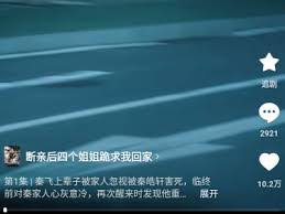 红果短剧和河马短剧哪个更具观赏性