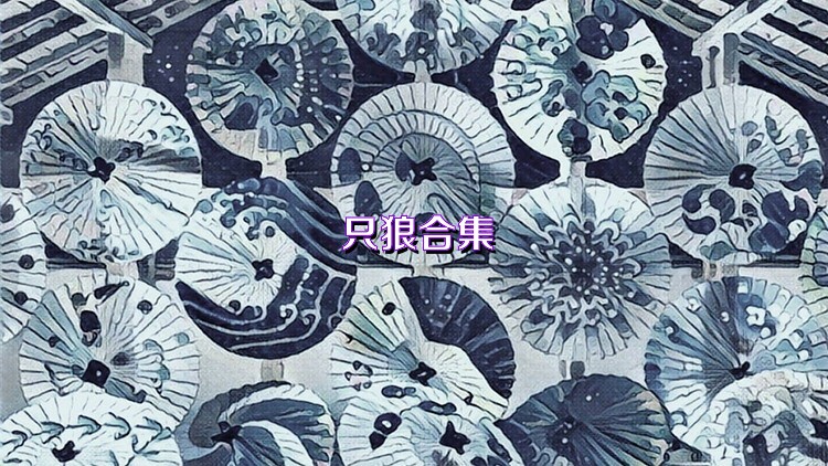 只狼合集